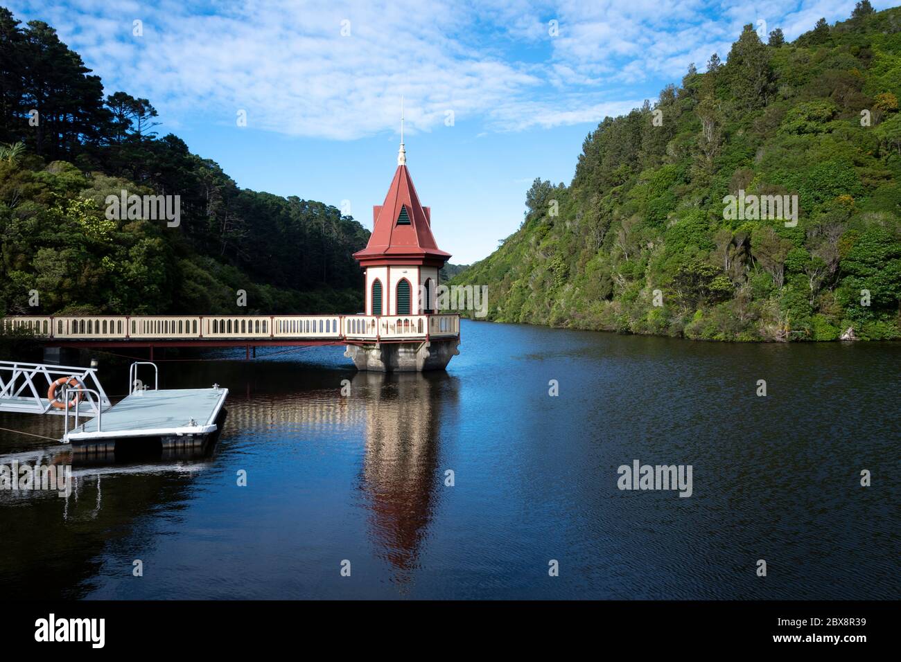 'Zealandia' Naturschutzgebiet, Wellington, Nordinsel, Neuseeland Stockfoto