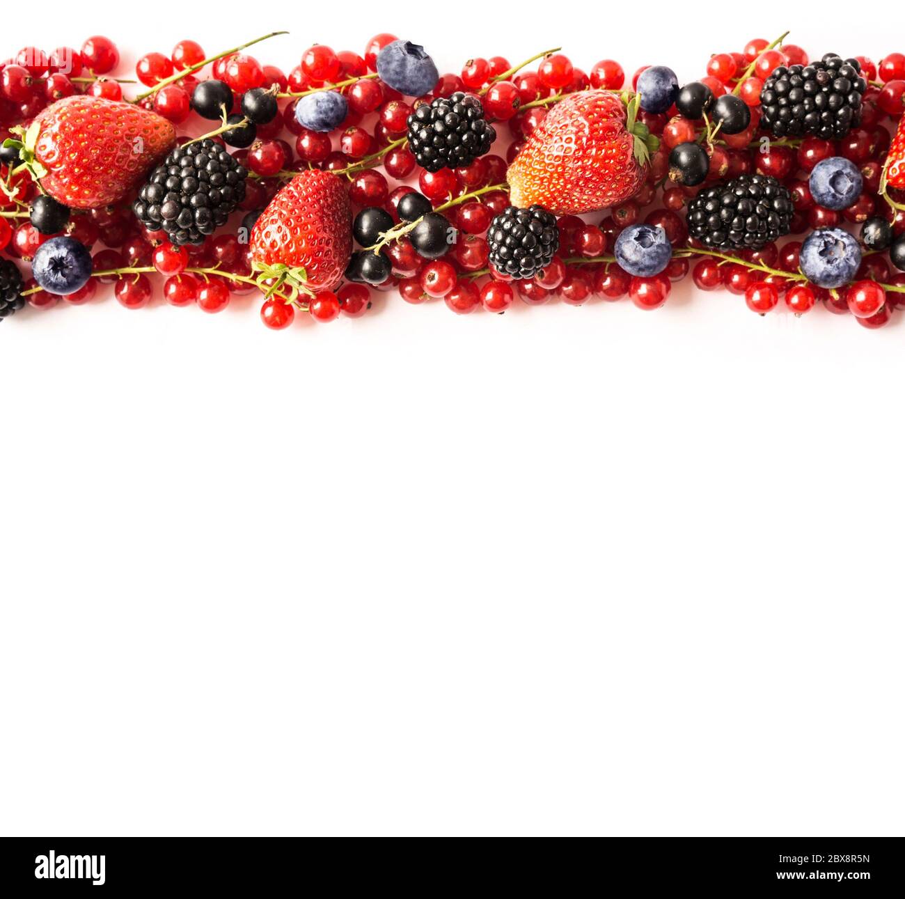 Mischen Sie Beeren Auf Einem Weissen Hintergrund Reife Rote Johannisbeeren Erdbeeren Brombeeren Heidelbeeren Schwarze Johannisbeeren Auf Weissem Hintergrund Draufsicht Obst Witz Stockfotografie Alamy