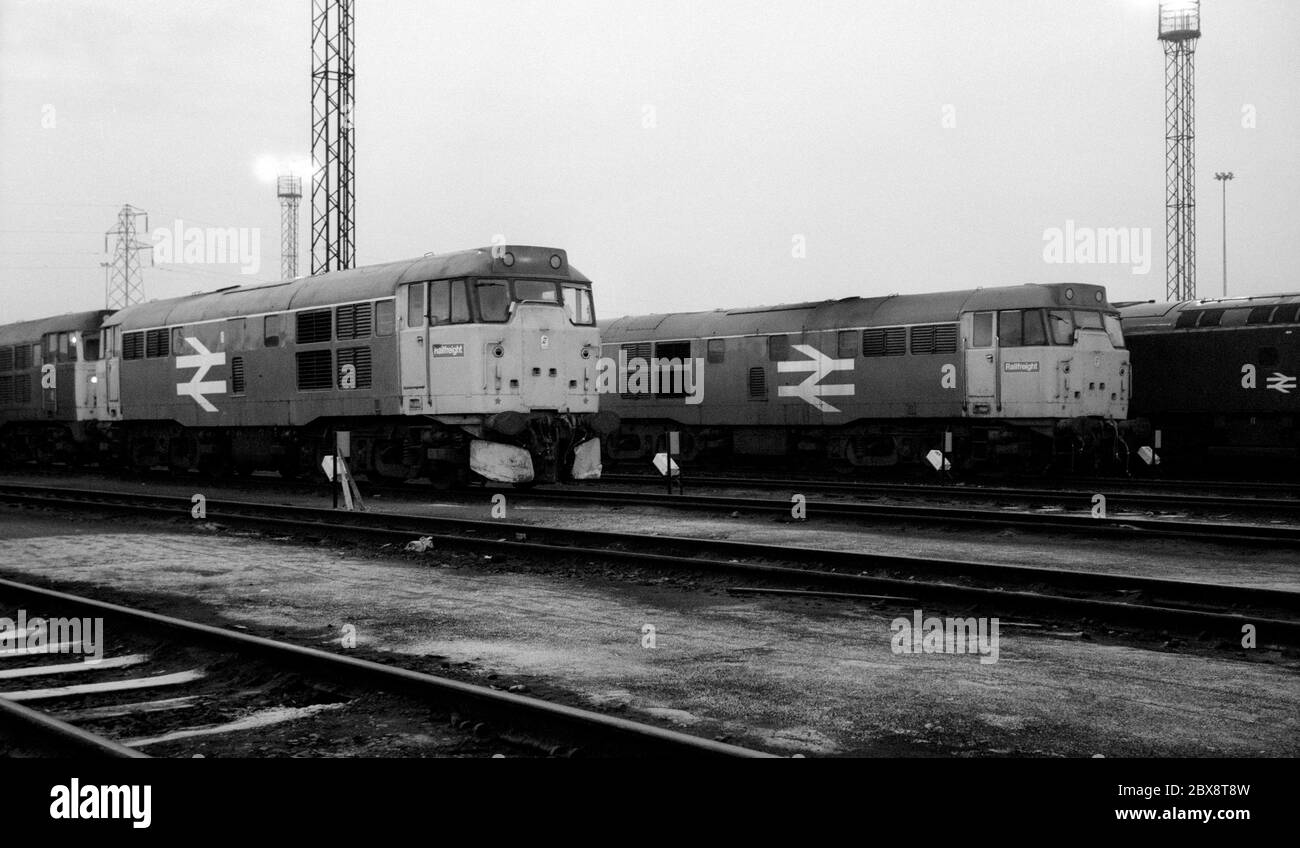 Diesellokomotiven der Baureihe 31 im Toton Locomotive Depot, Nottinghamshire, England, Großbritannien. Januar 1986. Stockfoto