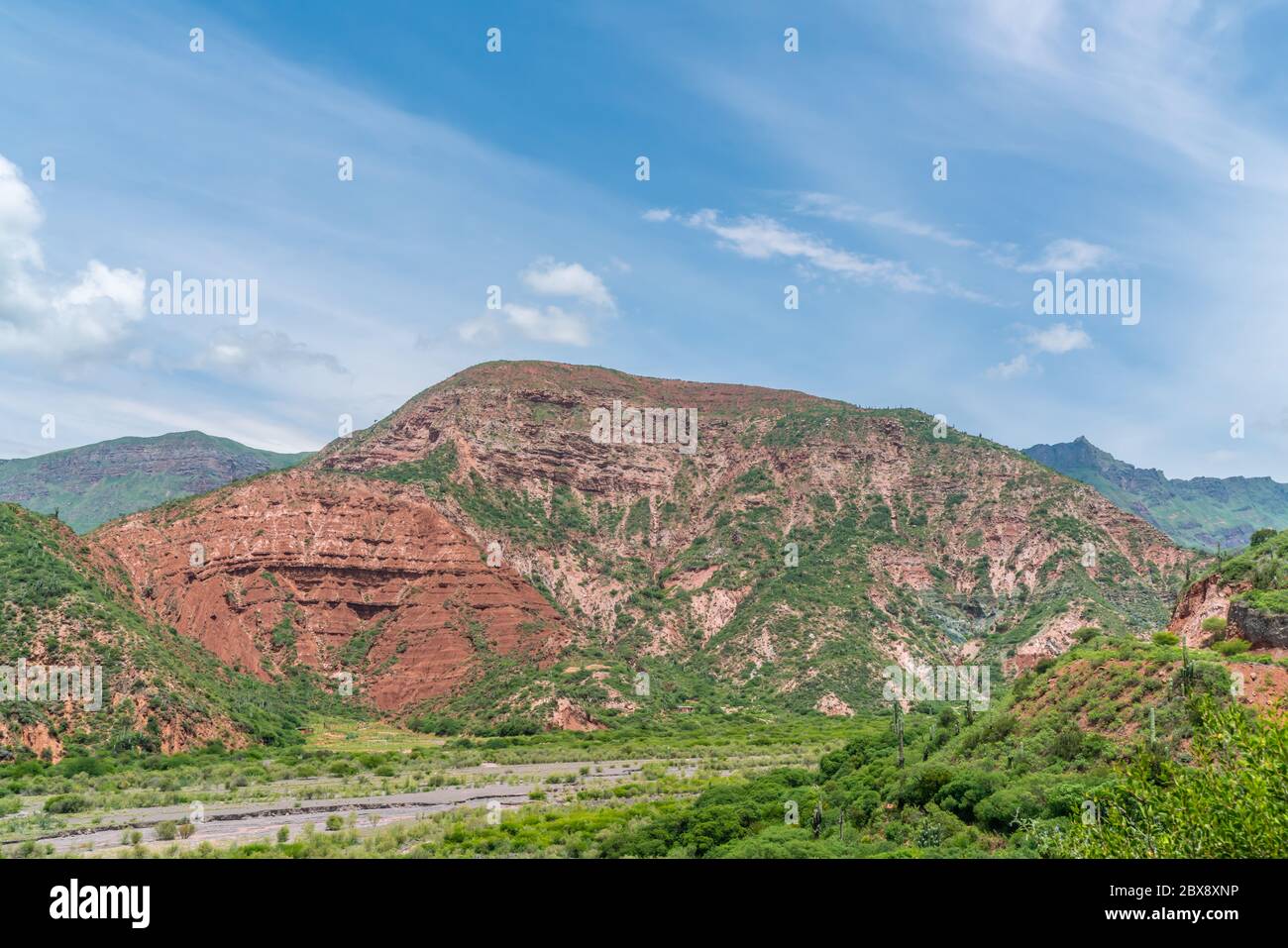 Farbenfrohe Berge im Parque Nacional Los Cardones (Nationalpark) in der Salta Provence, Argentinien Stockfoto