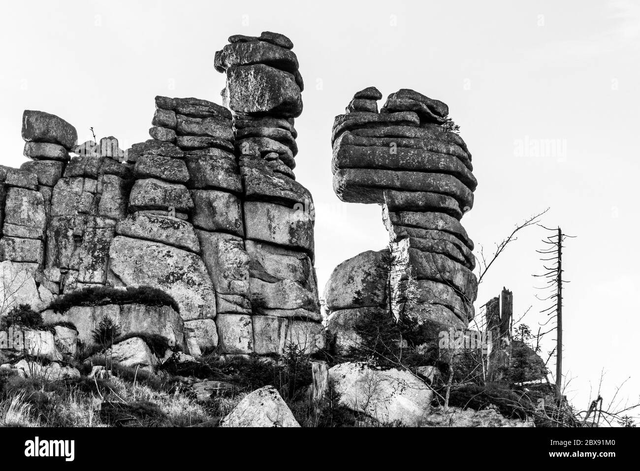 Einzigartige erodierte Granitfelsenformation auf dem Tristolicnik, Dreissesselberg. Nationalpark Sumava und Bayerischer Wald, Tschechische republik und Deutschland. Schwarzweiß-Bild. Stockfoto