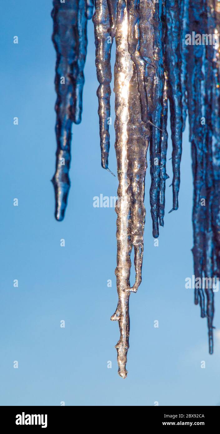 Detailansicht von Eiszapfen am sonnigen Wintertag mit klarem blauen Himmel Hintergrund. Stockfoto