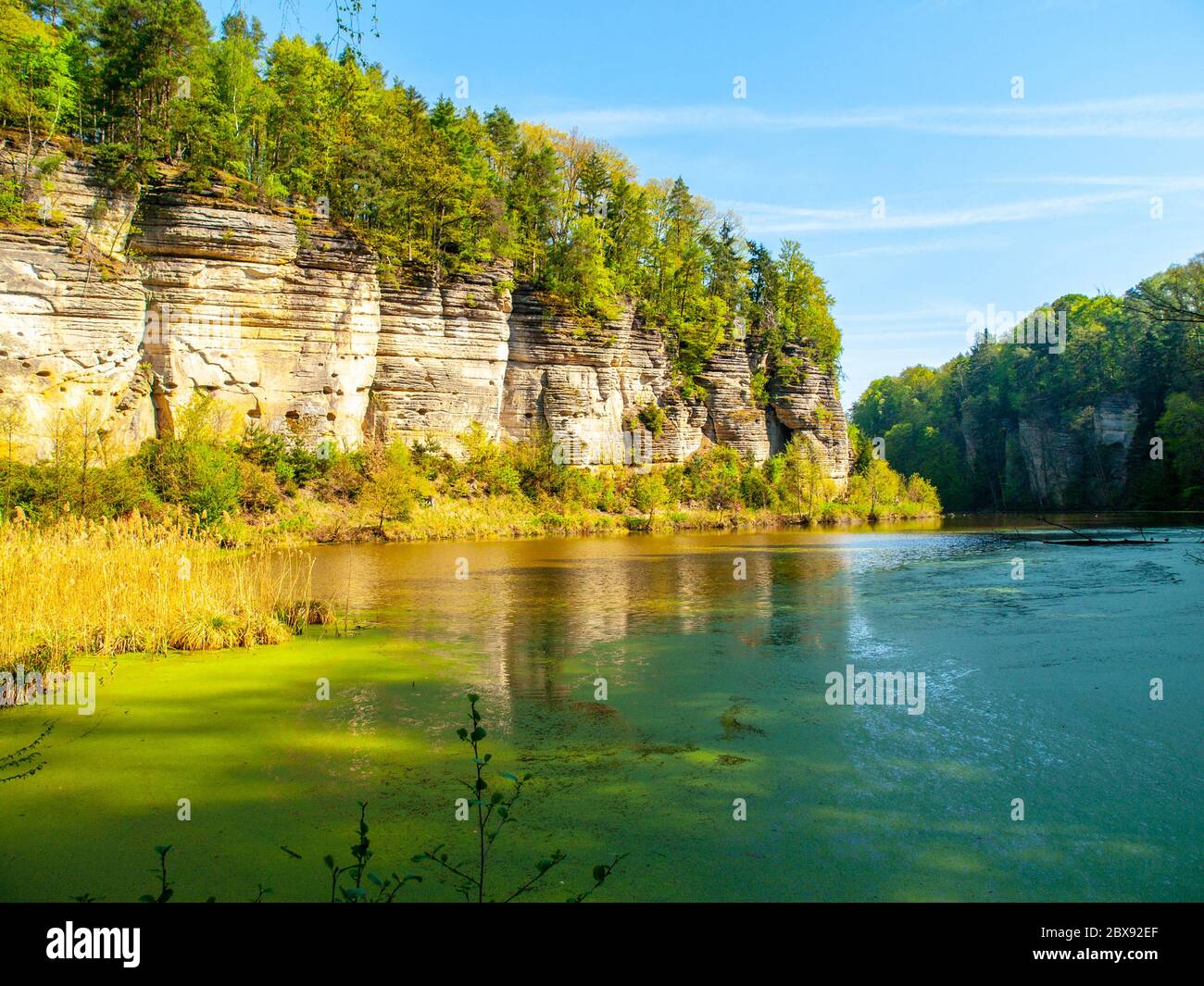 Landschaft mit Sandsteinfelsen und Teich voller grüner Algen. Oborovsky Teich in Plakanek Tal des Böhmischen Paradieses oder Cesky Raj, Tschechische Republik. Stockfoto