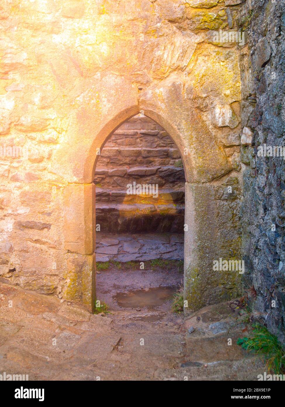 Altes gotisches Bogentor in mittelalterlicher Steinburg Ruine. Stockfoto