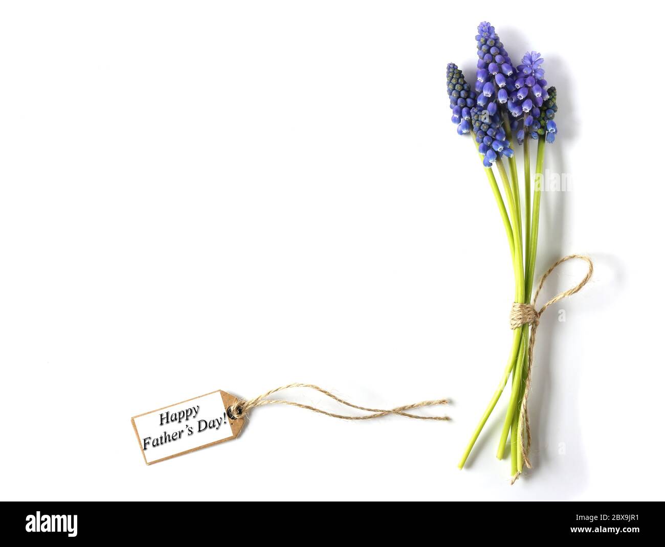 Blaue Blumen mit Geschenkanhänger und Schild Happy Fathers Day auf weißem Hintergrund Stockfoto