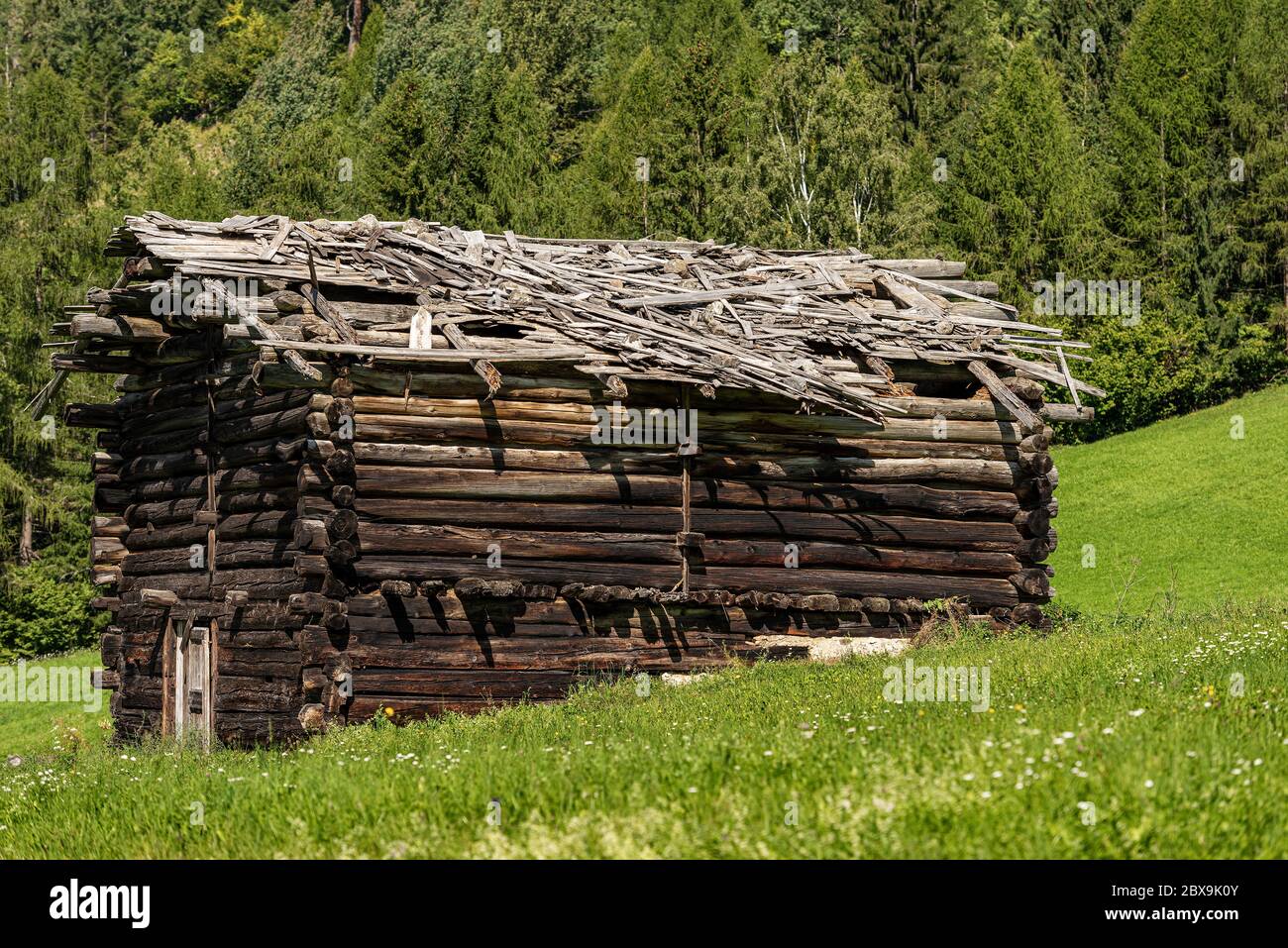 Nahaufnahme einer alten Holzscheune mit gebrochenem Dach in den Bergen, Val di Fiemme, Bellamonte Dorf, Predazzo, Trentino Alto Adige, Italien, Europa Stockfoto