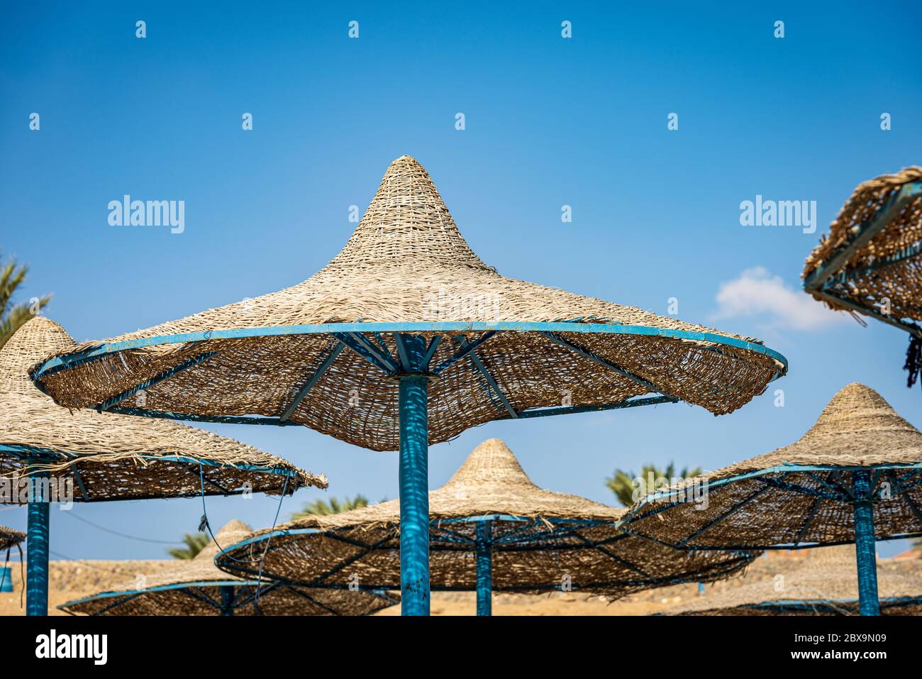Gruppe von Strohschirmen am Strand auf klaren blauen Himmel. Rotes Meer, Marsa Alam, Ägypten, Afrika. Stockfoto