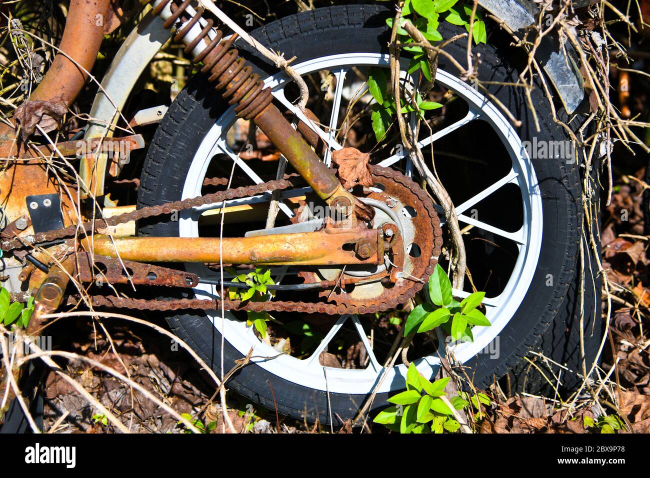 Nahaufnahme abstrakte Ansicht des Hinterreifens auf einem antiken Motorrad im Junk Yard Stockfoto