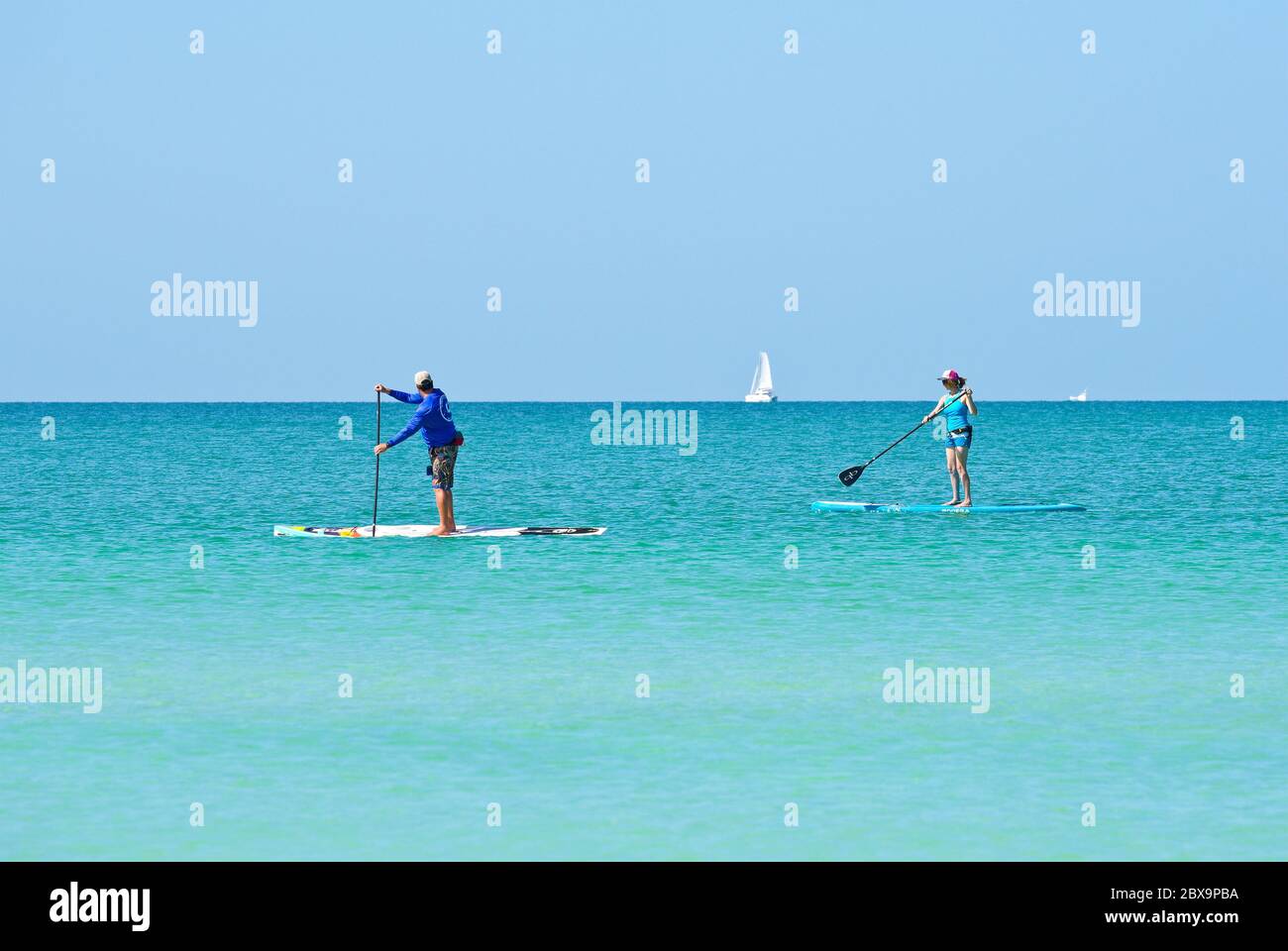 Anna Maria Island, FL / USA - 30. April 2019: Ein Mann und eine Frau rudern auf Paddle Boards im Golf von Mexiko vor der Küste an einem schönen sonnigen Tag Stockfoto