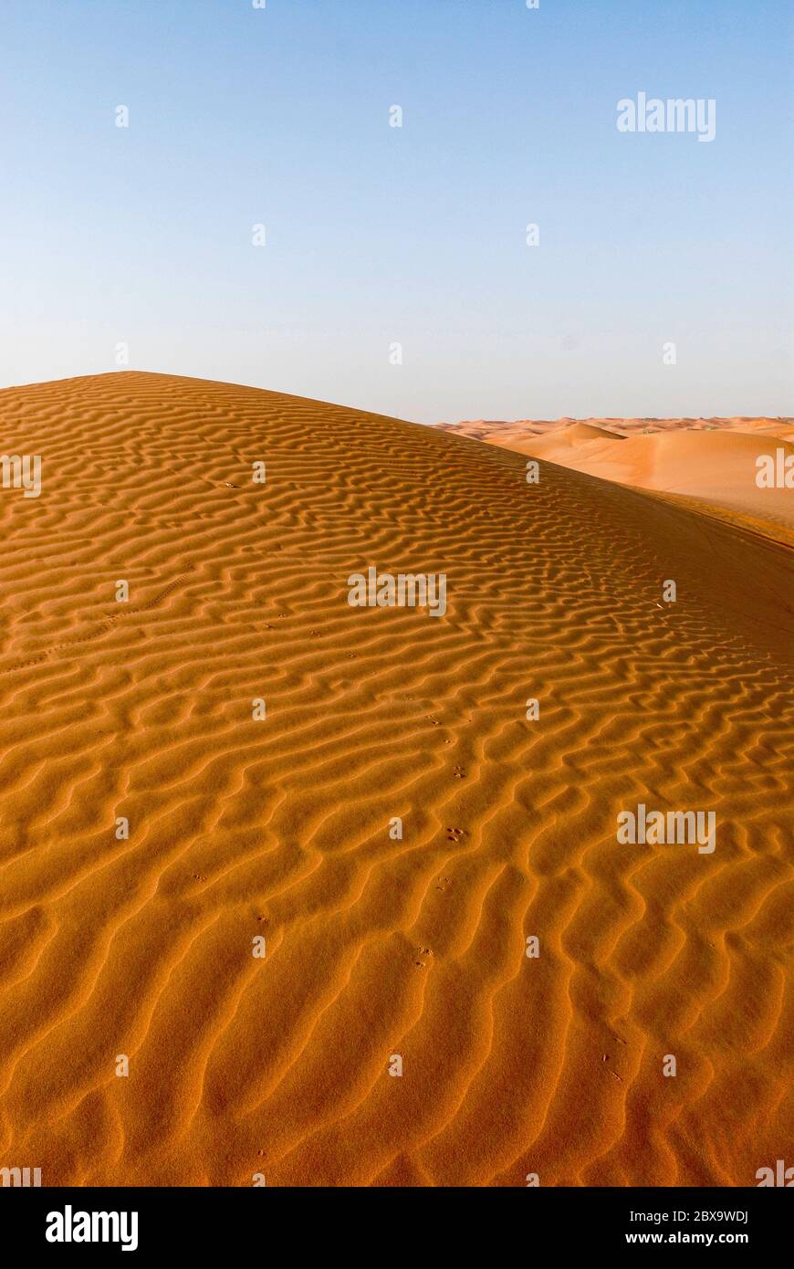Landschaft der Sandwüste in Dubai Stockfoto
