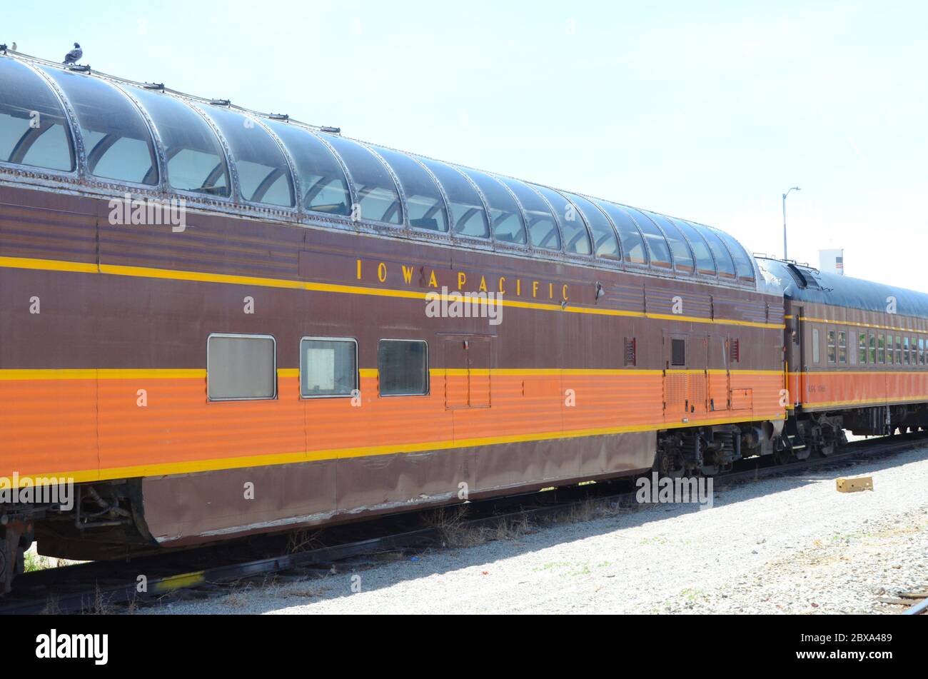 Alte Zugwagen und Lokomotiven auf den Gleisen in Alamosa, Colorado, USA geparkt Stockfoto