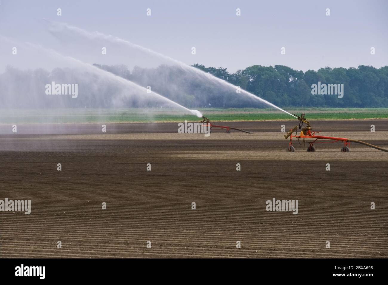 Im Frühjahr wird in den Niederlanden auf einem Feld Wasser mit zwei Bewässerungssystemen besprüht. Das Wasser wird aus einem Graben aufgepumpt Stockfoto