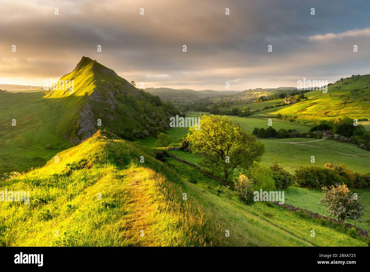Bunte grüne Felder mit hellen Sommer frühen Morgensonne auf Chrome Hill im Peak District, Großbritannien Stockfoto