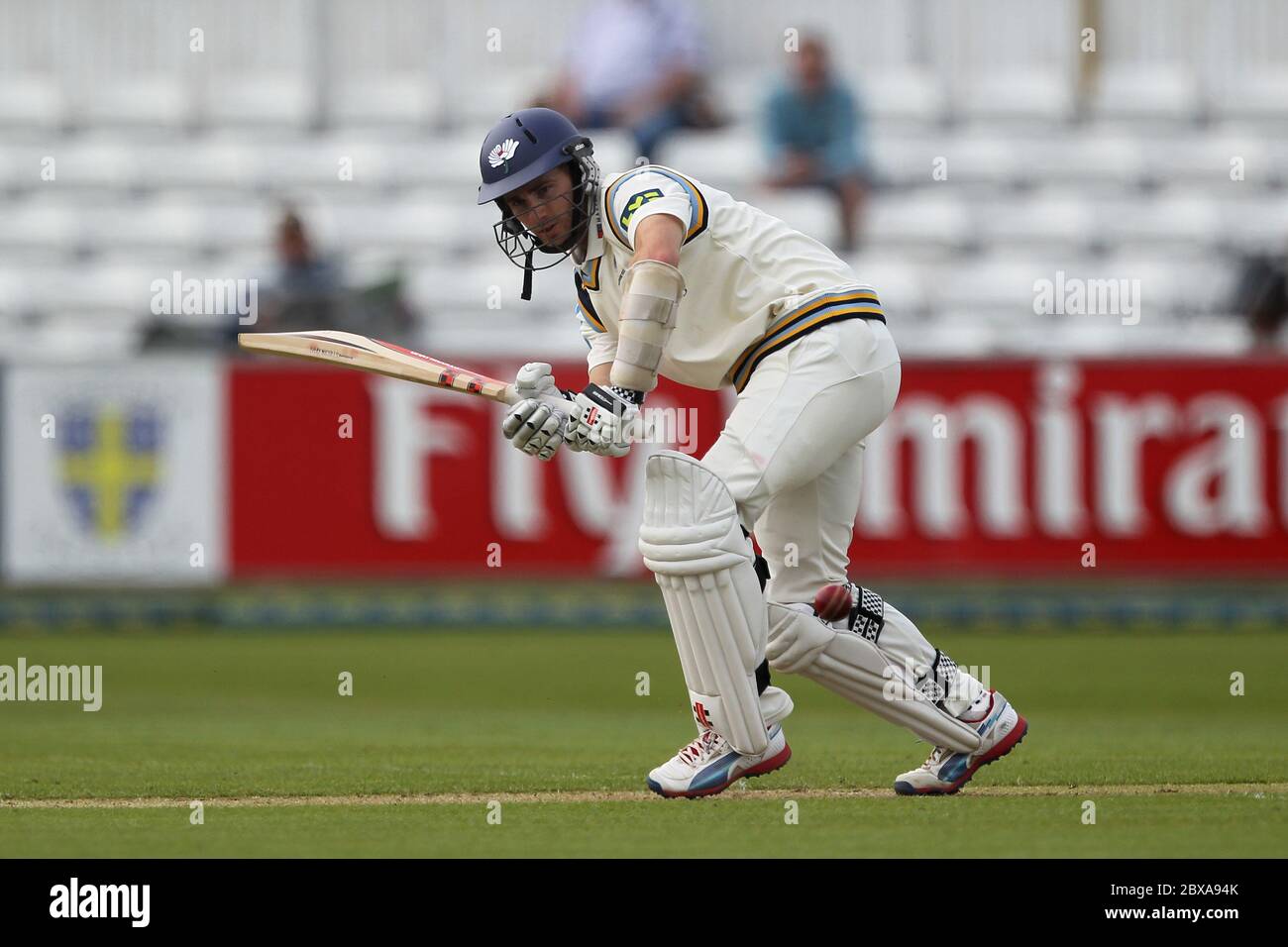 CHESTER LE STREET, ENGLAND - Yorkshire Kane Williamson während des County Championship Matches zwischen Durham und Yorkshire im Emirates Riverside, Chester le Street, County Durham am Sonntag, den 4. Mai 2014. Stockfoto