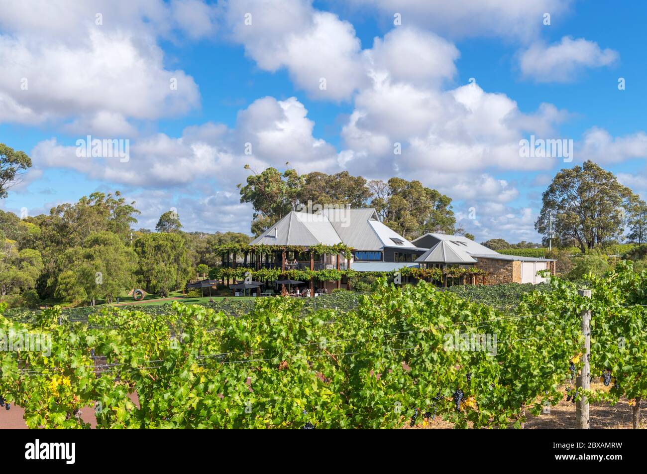 Vasse Felix Vineyard and Winery, Margaret River Wine Growing Region, Western Australia, Australien Stockfoto