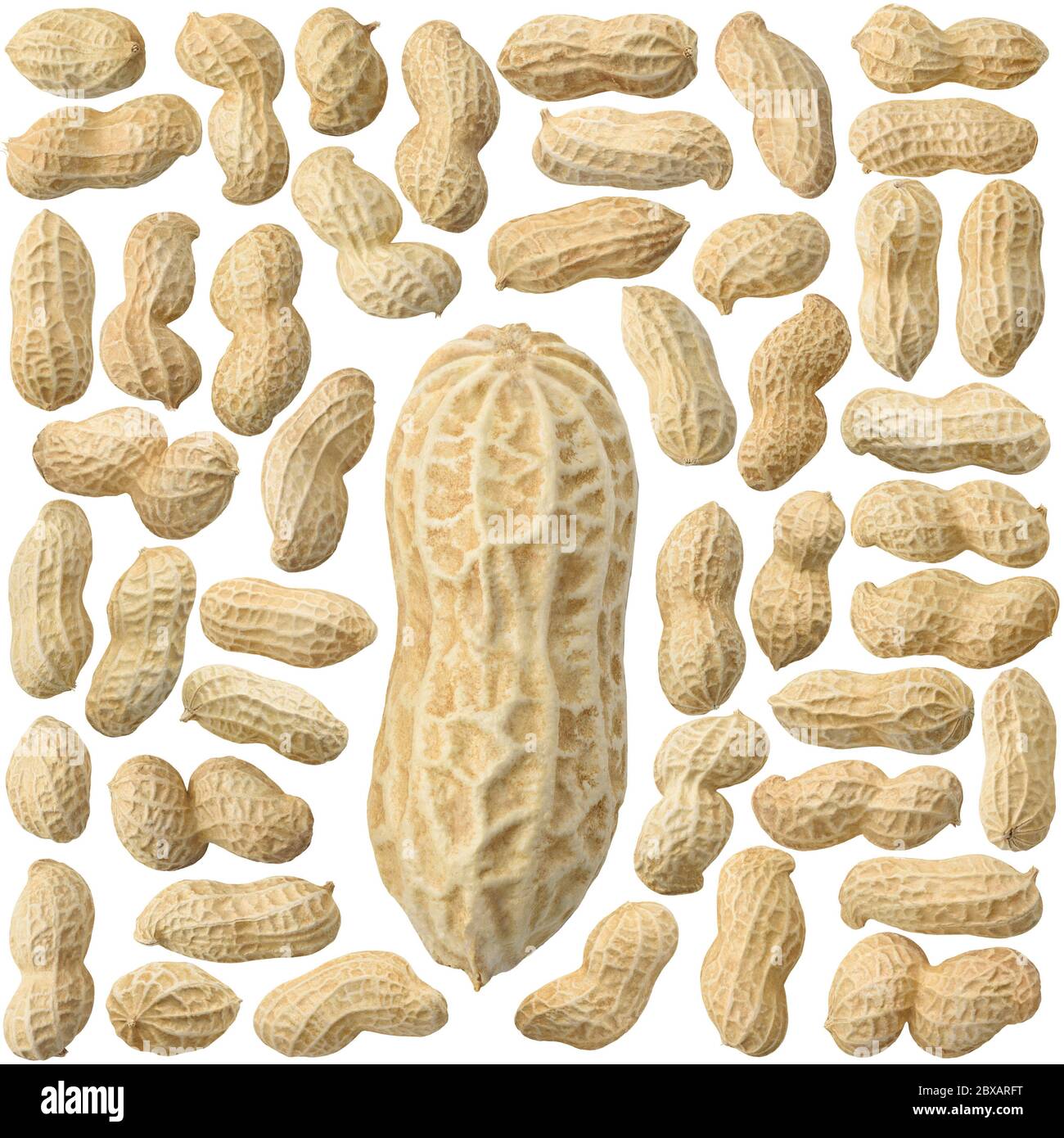 Isolierte geschälte Erdnüsse. Sammlung von ganzen rohen Erdnüssen auf weißem Hintergrund isoliert Stockfoto