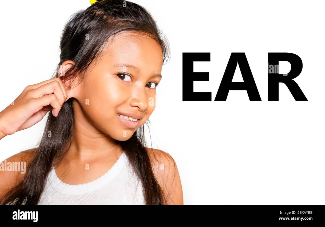 Englisch lernen Körper und Gesicht Teile Schulkarte mit schönen und  glücklich asiatischen Kind ziehen ihr Ohr lächelnd macht Spaß isoliert auf  weiß b Stockfotografie - Alamy