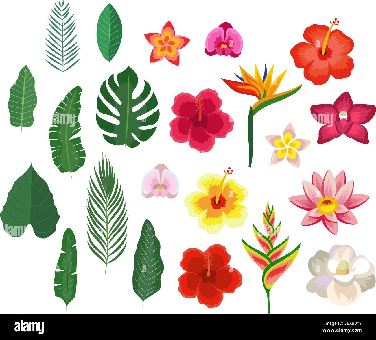 Tropische Blumen und Blätter, Sammlung isoliert Elemente. Vektor Illustration Design Vorlage in flacher Form Stock-Vektorgrafik