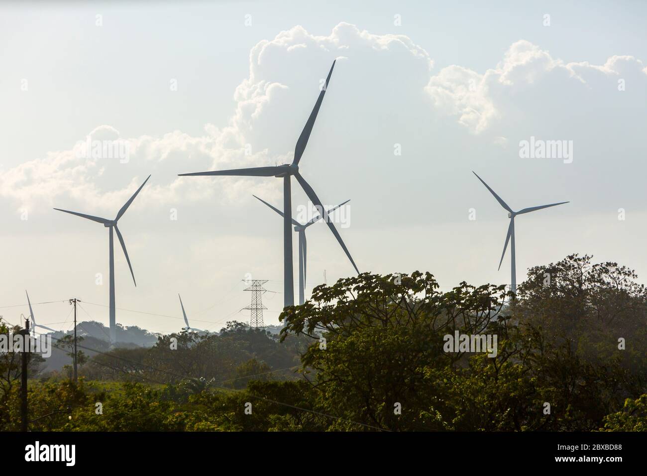 Windkraftanlagen, Provinz Guanacaste, Nord-Costa Rica, Mittelamerika, Costa Rica stellt den Großteil seines Strombedarfs über alternative Energien zur Verfügung Stockfoto