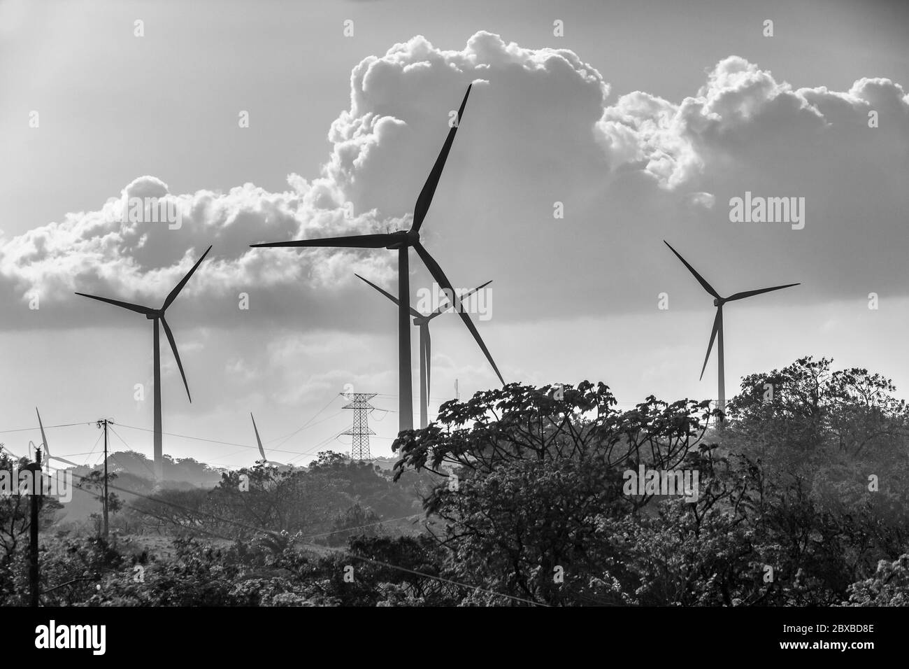 Windkraftanlagen, Provinz Guanacaste, Nord-Costa Rica, Mittelamerika, Costa Rica stellt den Großteil seines Strombedarfs über alternative Energien zur Verfügung Stockfoto