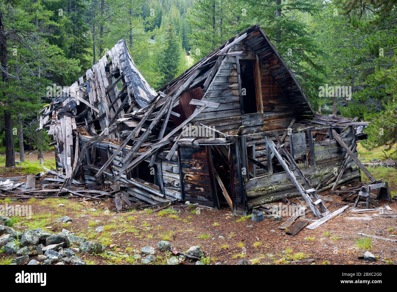 In der Geisterstadt Coolidge, Montana, brechen Holzgebäude zusammen. Stockfoto