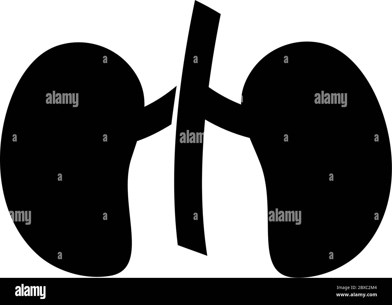 Nieren, Menschliches Harnorgan, Anatomie. Abbildung des Symbols für flache Vektorgrafik. Einfaches schwarzes Symbol auf weißem Hintergrund. Nieren, menschliches Harnorgan, Anatomie Stock Vektor