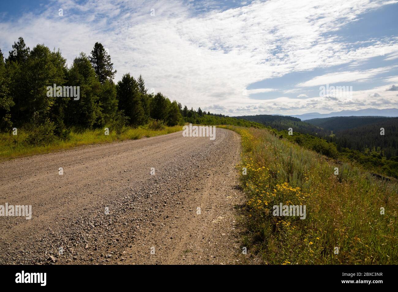 Ashton-Flagg Ranch Road, Waldstraße 216, ist eine Schotterstraße im Caribou-Targhee National Forest, Teil der Great Divide Mountain Bike Route. Stockfoto