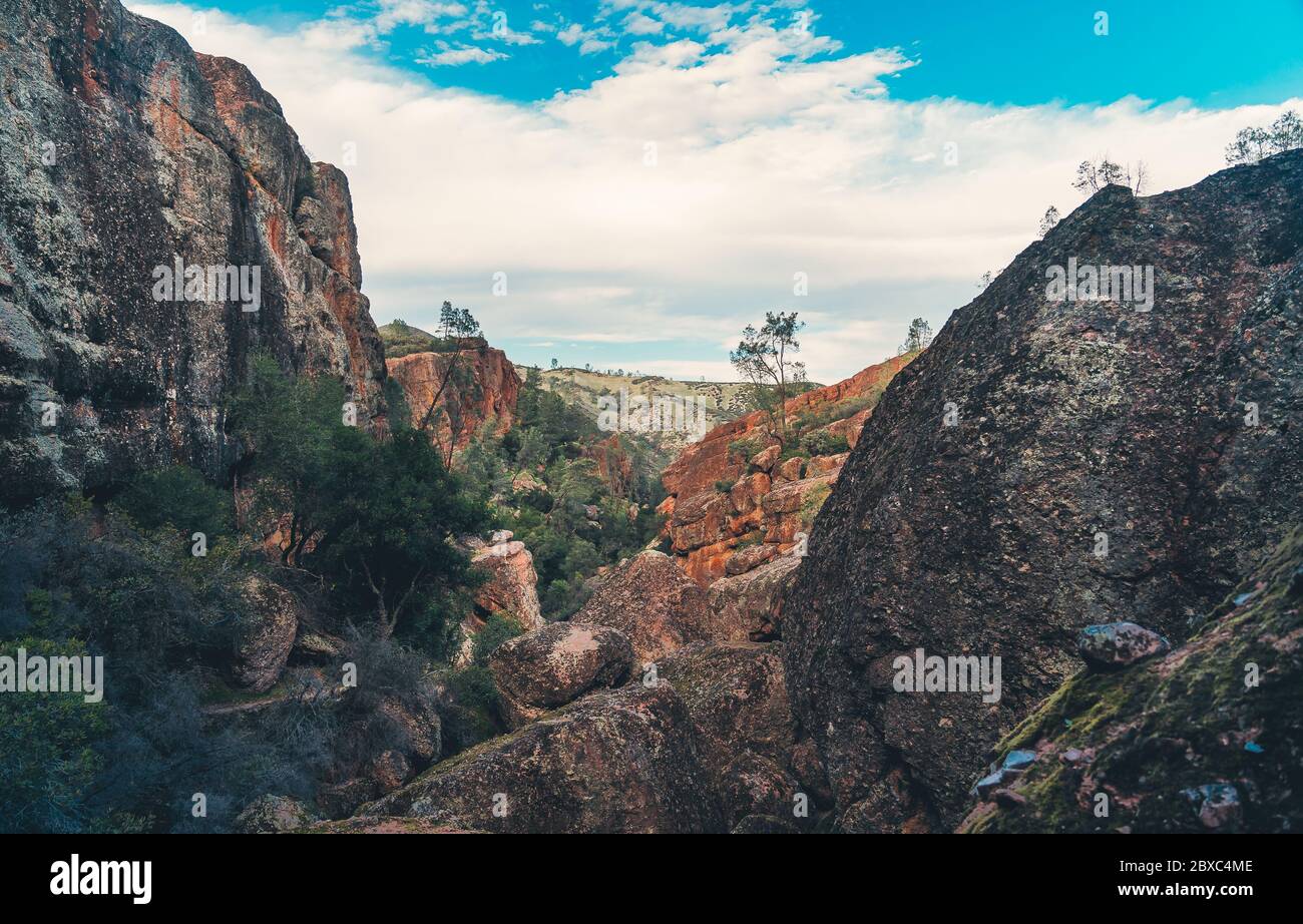 Eine beeindruckende Landschaft mit majestätischen Klippen, üppigen Pflanzen und sanften Wolken in einem atemberaubenden Canyon. Stockfoto