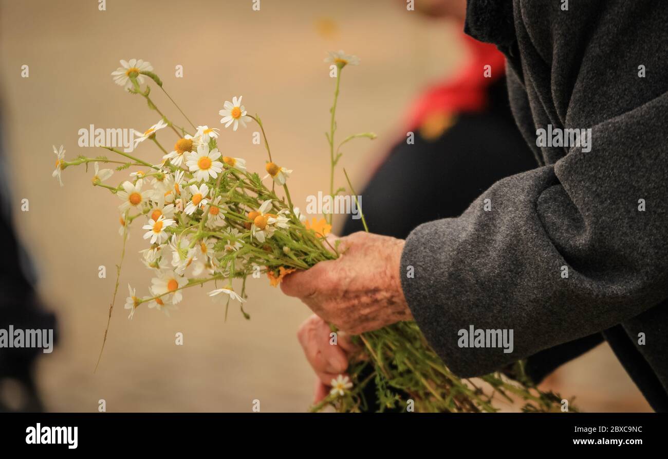 Alte Kunst und Traditionen - Algarve Portugal Stockfoto