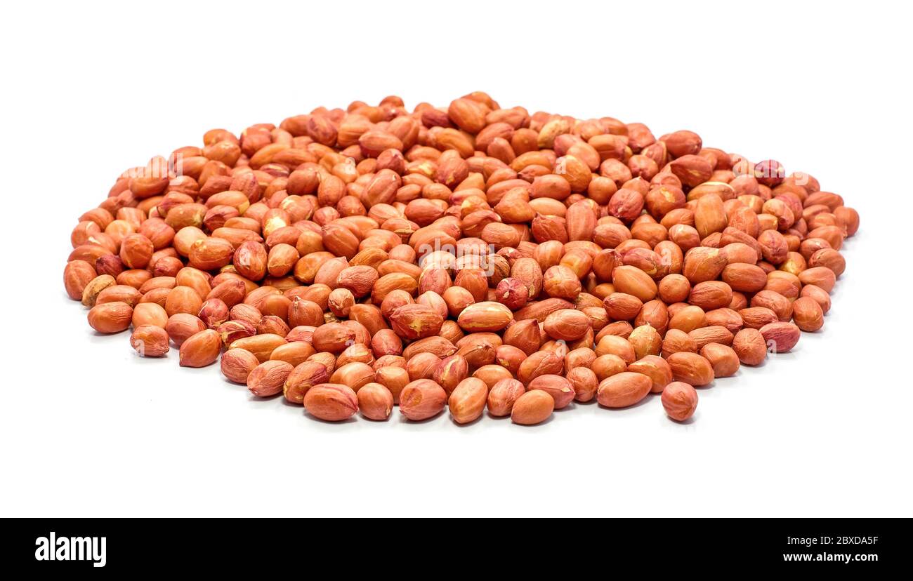 Einzelnes Objekt von Erdnüssen isoliert auf weißem Hintergrund Stockfoto