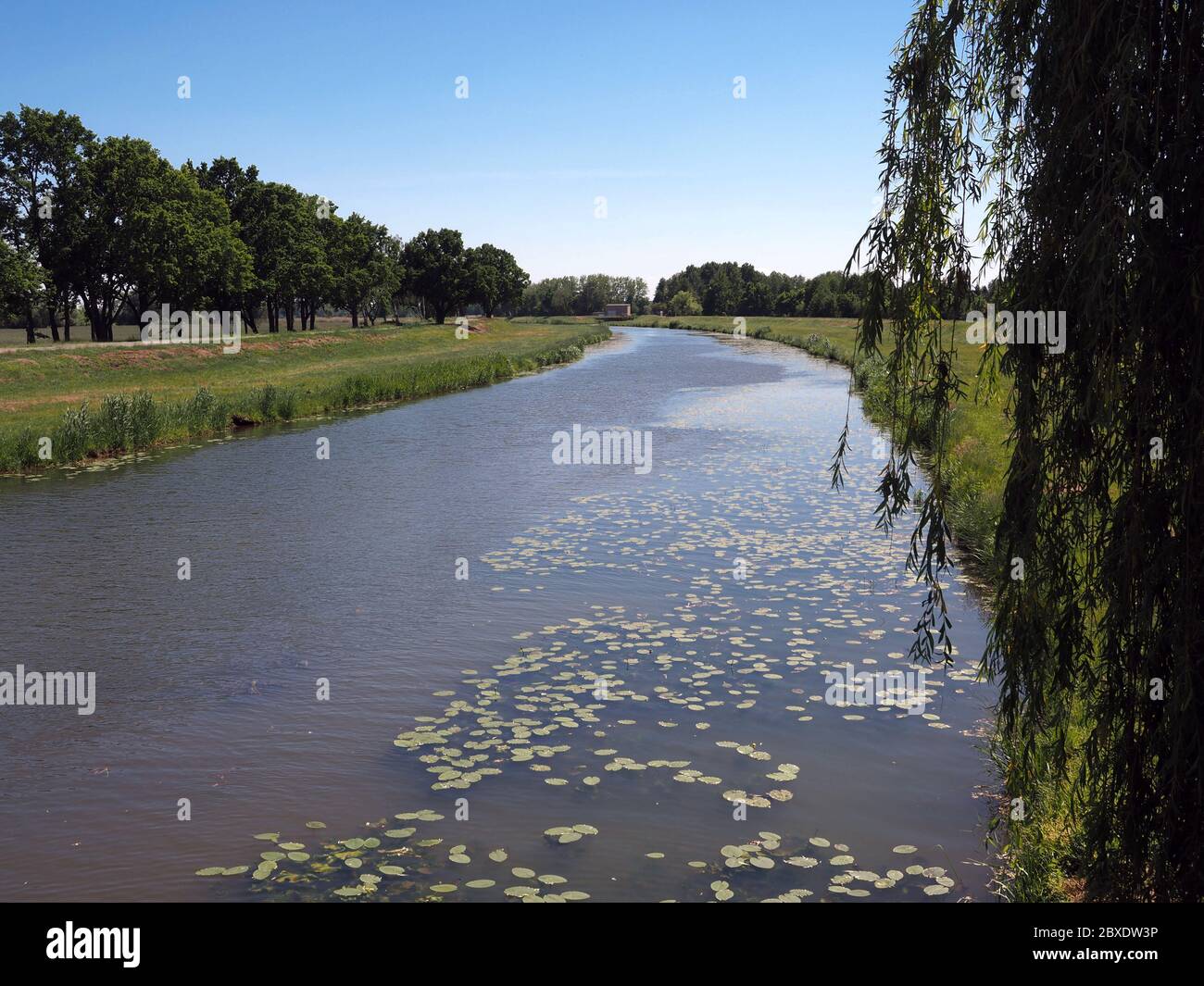 fluss schwarze elster stockfotos und bilder kaufen alamy