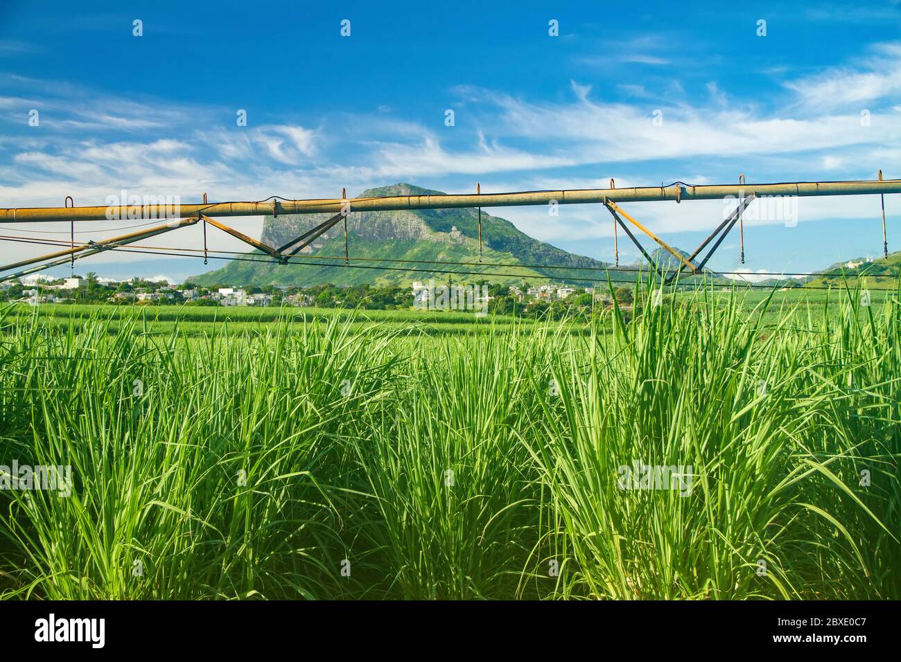 Landwirtschaftlich landet vor blauem bewölktem Himmel Stockfoto