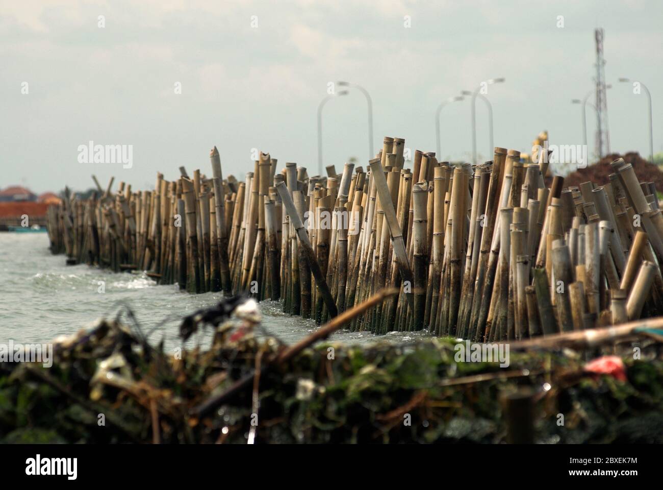 Bambusstangen dienten als Zaun und Grenze für die Landgewinnung, nahe der Provinzgrenze zwischen Jakarta und West-Java, Indonesien. Stockfoto