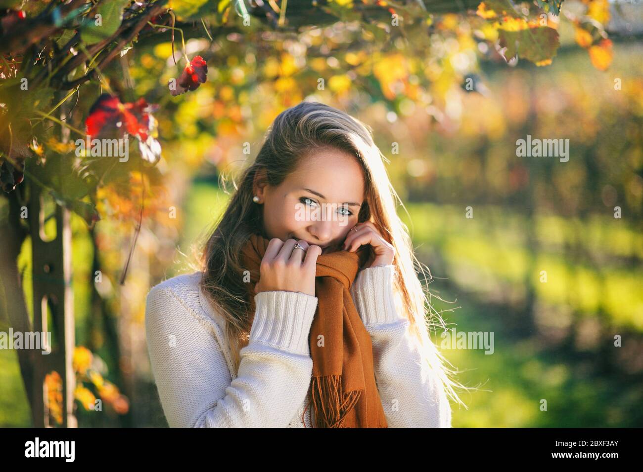 Schöne Mädchen im Herbst Farben Weinrebe. Saisonales Porträt Stockfoto
