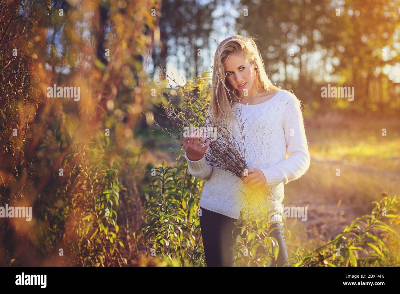 Schöne Frau posiert in einem Feld. Farben bei Sonnenuntergang Stockfoto