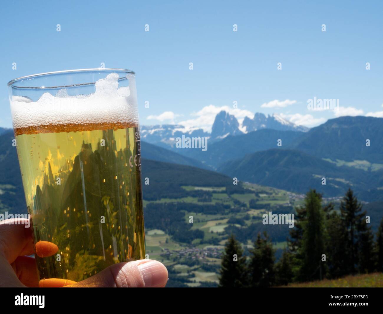 Eine frische Bahre in den Bergen mit einer schönen Landschaft an einem sonnigen Tag Stockfoto