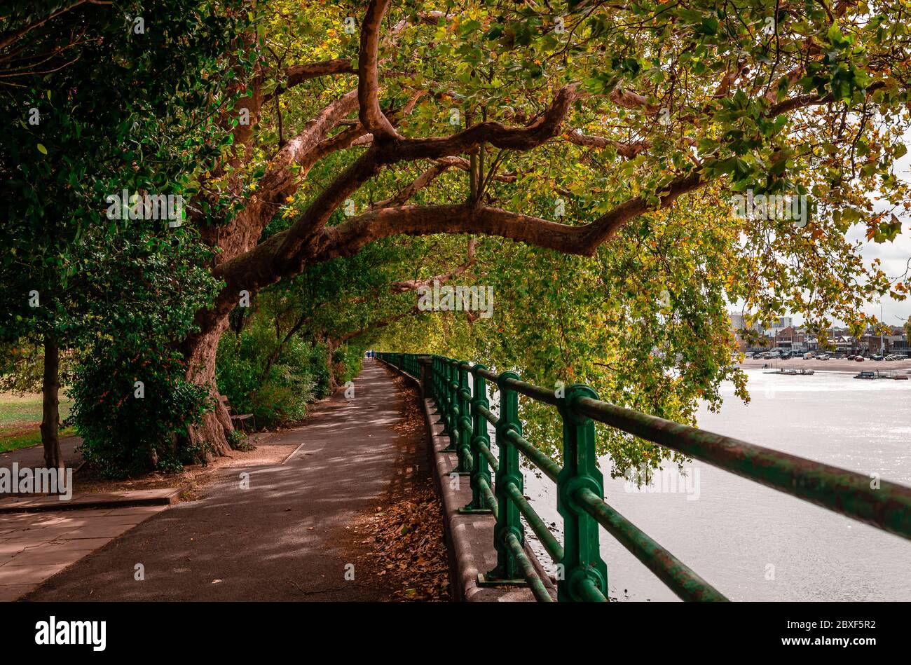 Herbstansicht des Thames Path, irgendwo in Fulham, London, Großbritannien Stockfoto