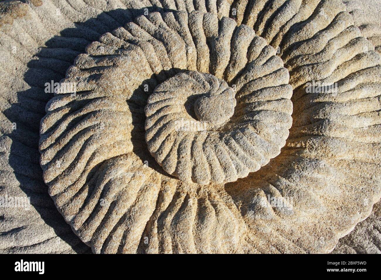 Grooviges Spiralsandstein-Muster Stockfoto