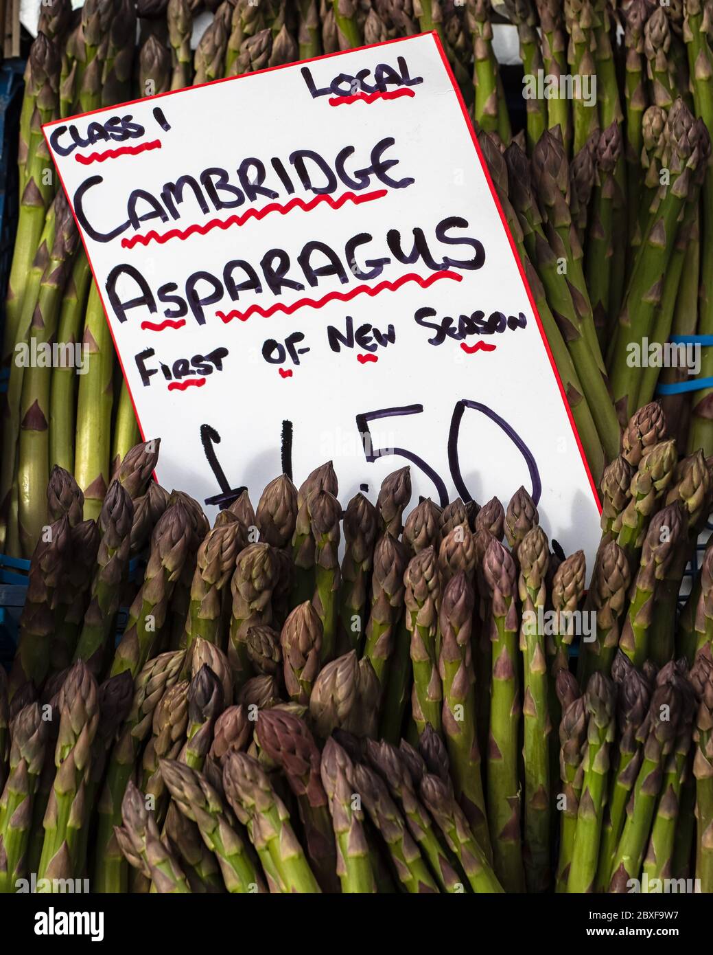 CAMBRIDGE, Großbritannien: Frische, lokal angebaute Spargelbüschen am Cambridge Market Stand mit Preisschild Stockfoto