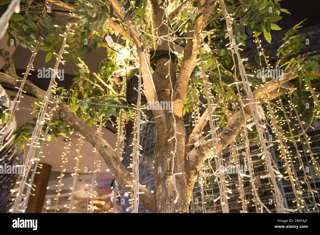 Kabel der String LED-Lichter auf Baum im Garten in der Nacht Zeit für die Dekoration für Schönheit nach wichtigen Festivals verwendet Stockfoto