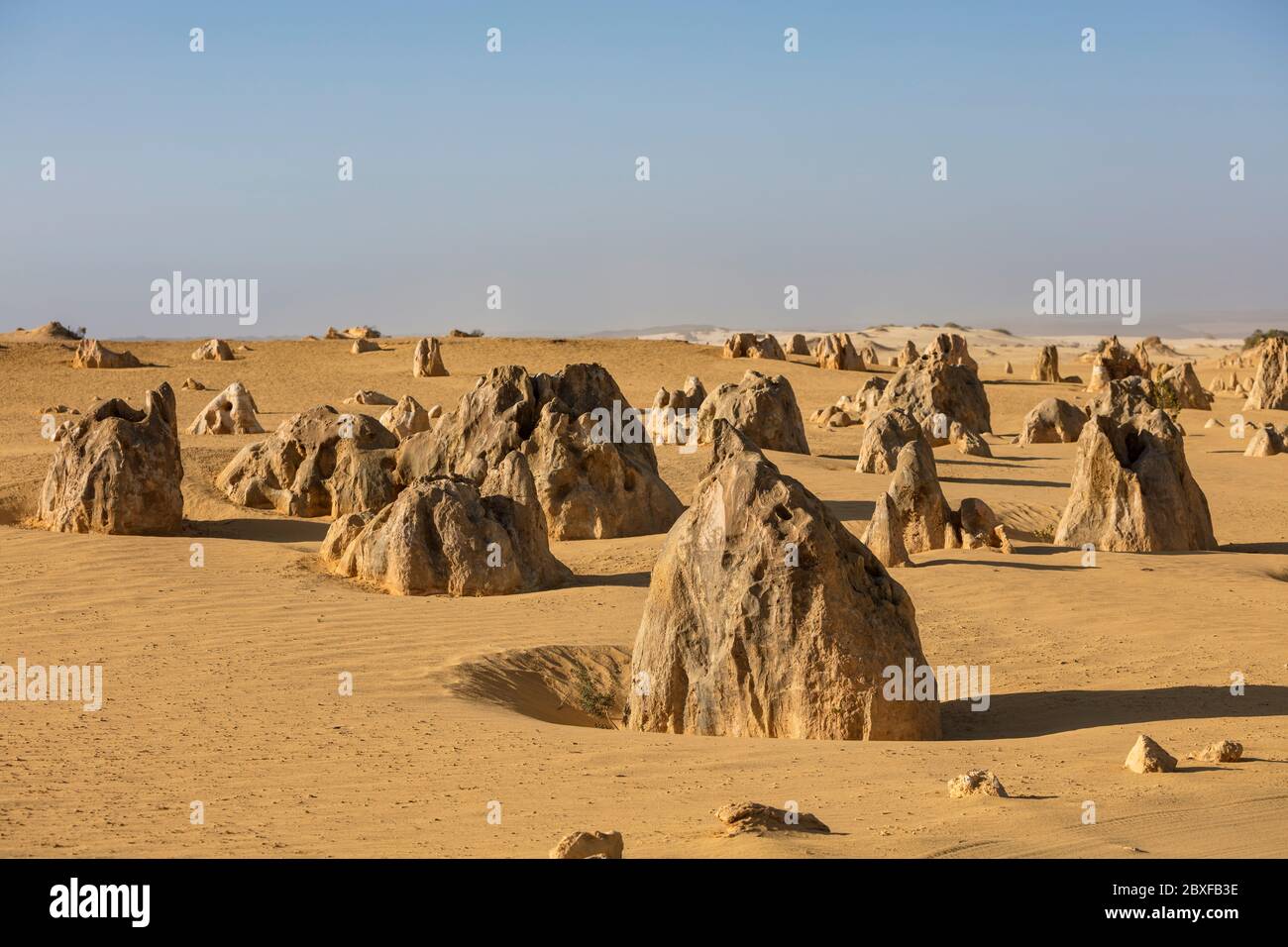 Kalksteinfelsen, bekannt als die Pinnacles im Nambung Nationalpark in Western Australia Stockfoto