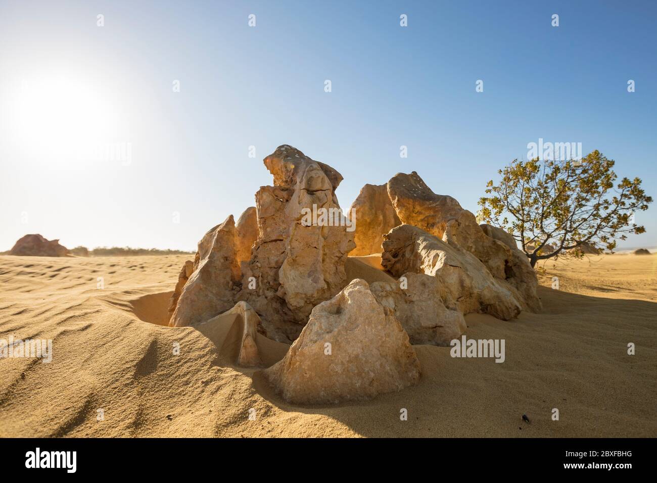 Kalksteinfelsen, bekannt als die Pinnacles im Nambung Nationalpark in Western Australia Stockfoto