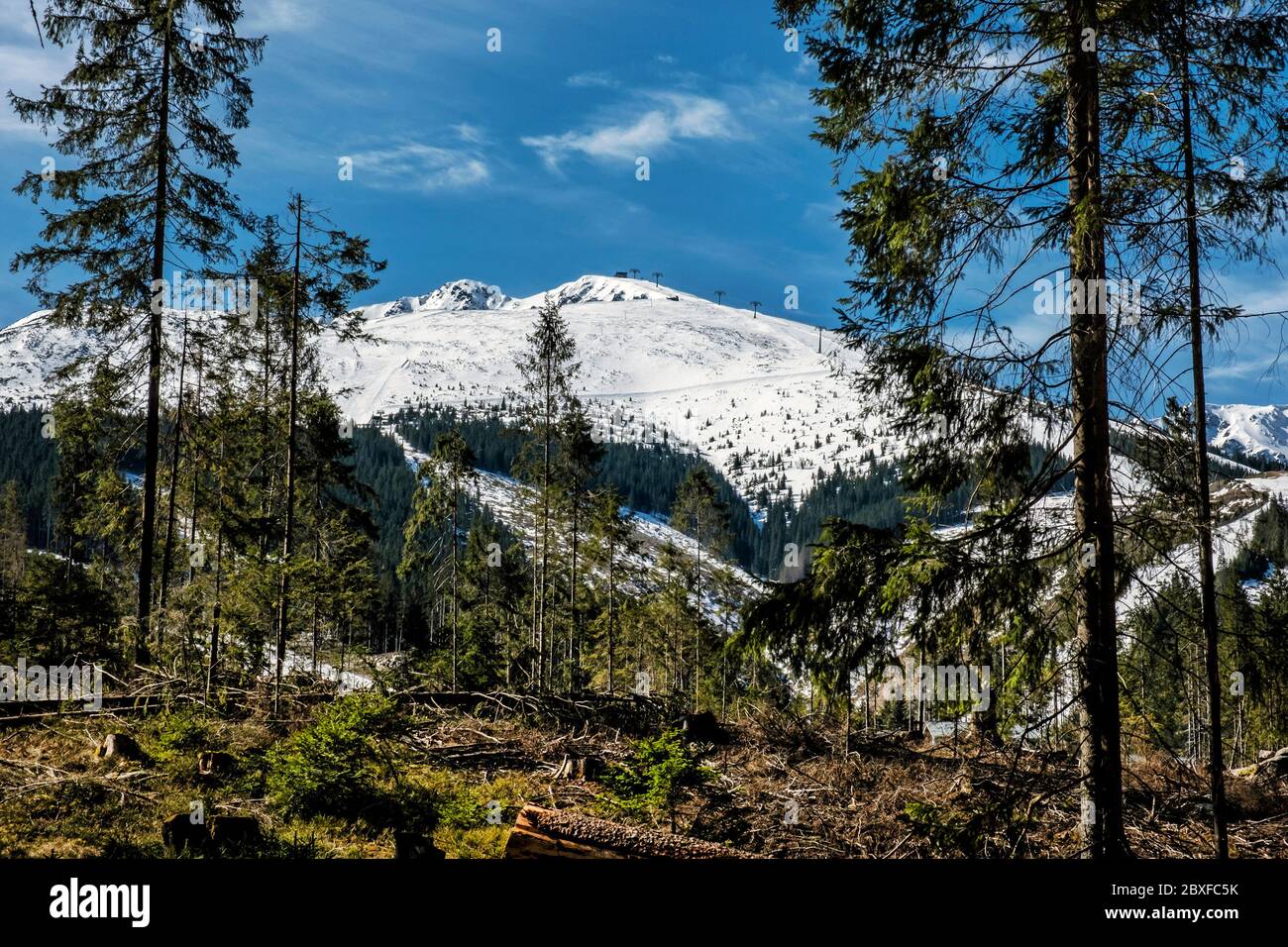 Chopok Gipfel und Demanovska Tal im Nationalpark Niedere Tatra Berge, Slowakische republik. Wanderthema. Saisonale natürliche Szene. Stockfoto