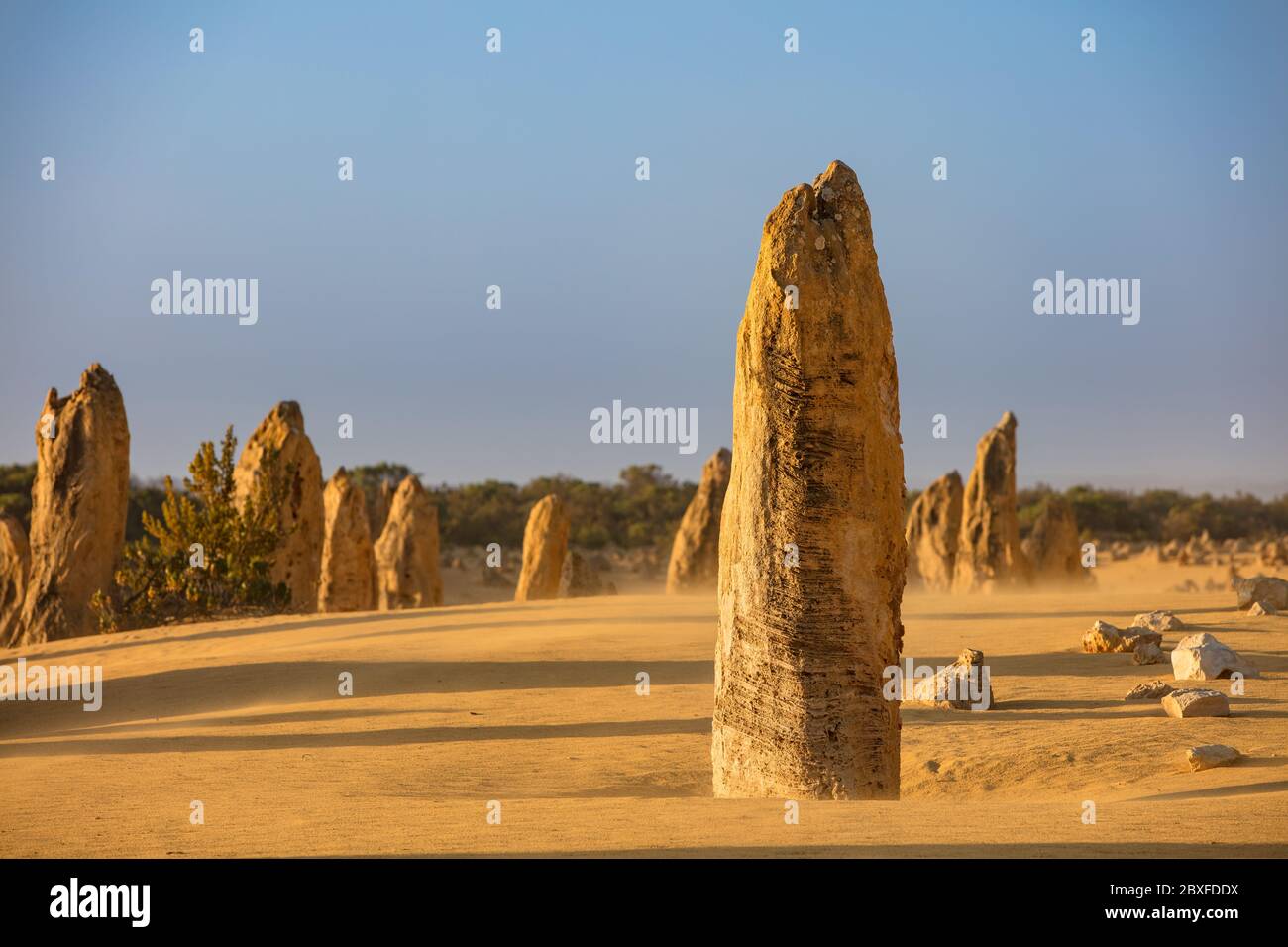 Ein Kalkstein-Stapel in der Pinnacles Wüste im Nambung Nationalpark nördlich von Perth in Western Australia Stockfoto