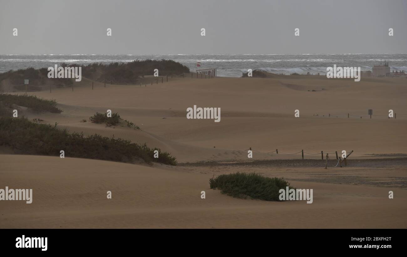 Dunas de Maspalomas - Gran Canaria - Spanien - bei Sturm - grauer Himmel - wildes Meer - wolkige Sicht auf den Strand Stockfoto