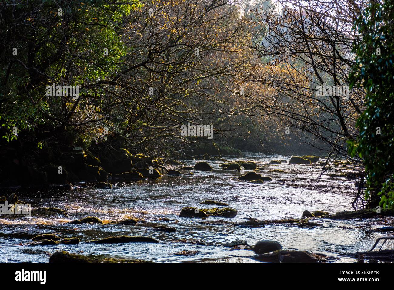 Fluss ölig bei Bruckless, County Donegal, Irland. Lachs und Forellen Angeln Fluss im Herbst, Herbst. Stockfoto