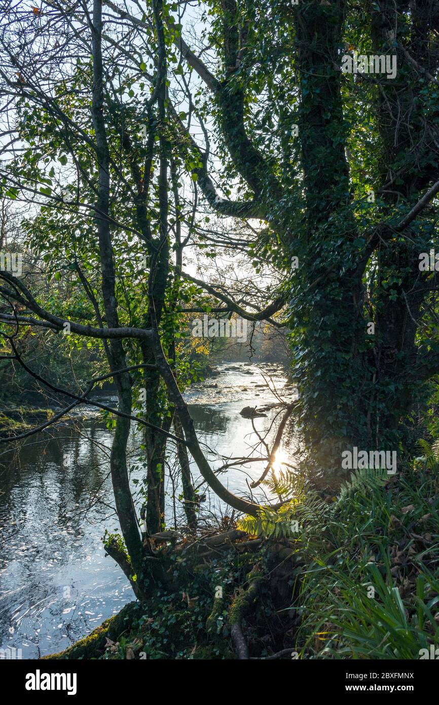 Fluss ölig bei Bruckless, County Donegal, Irland. Lachs und Forellen Angeln Fluss im Herbst, Herbst. Stockfoto