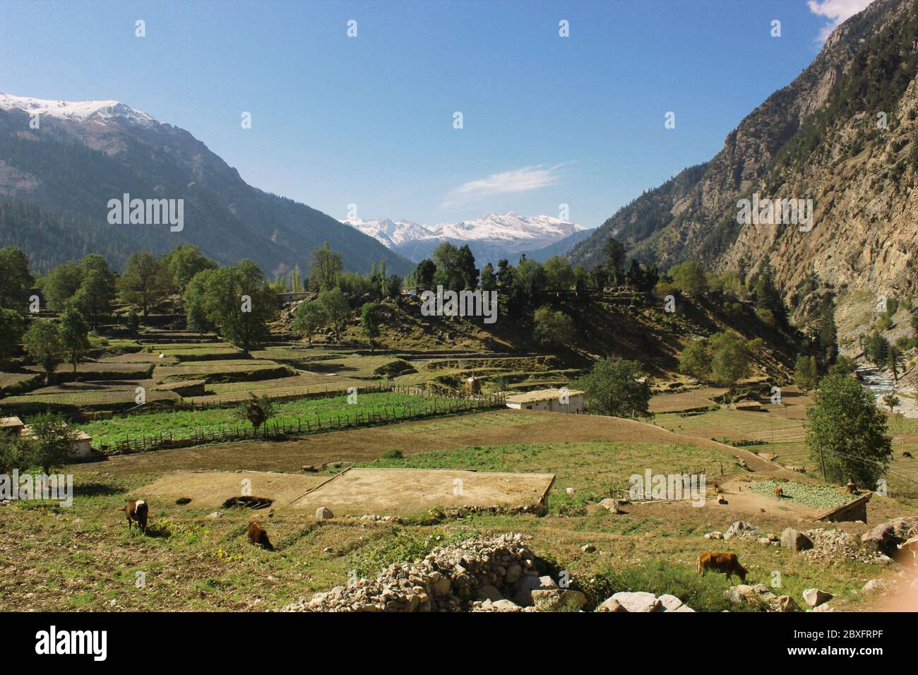 Schönes Dorf in den Bergen mit blauen Kies, reinen grünen Feldern und Bäumen im swat Tal kpk Pakistan Stockfoto