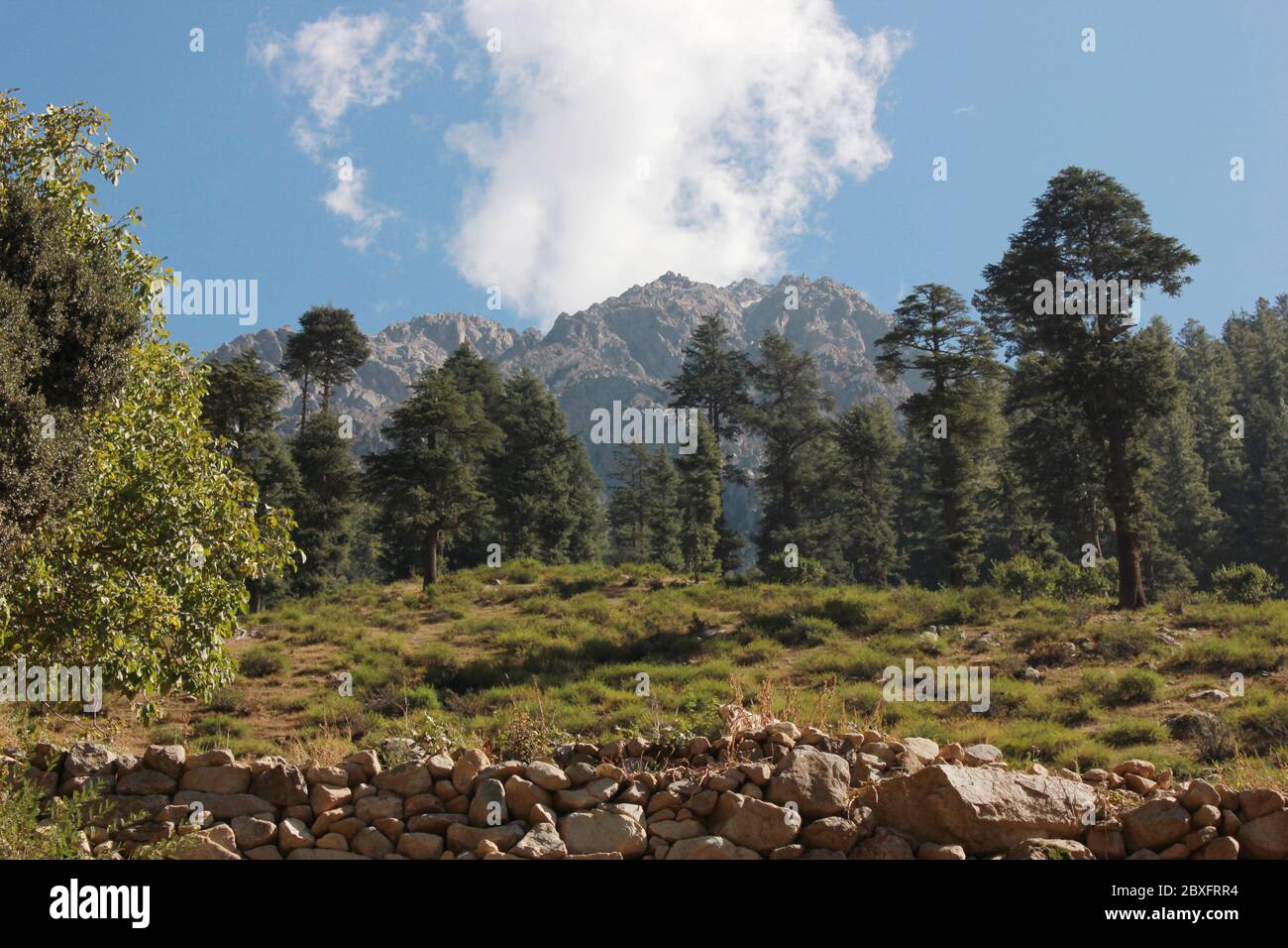 Schöne Berge mit blauen Kies, grüne Bäume im swat Tal kpk Pakistan Stockfoto