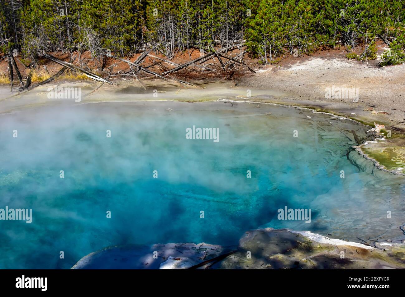 Wunderschöne Emerald Spring im Norris Geyser Basin, Yellowstone National Park. Stockfoto